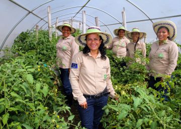 Participación laboral femenina en América Latina: más y mejor
