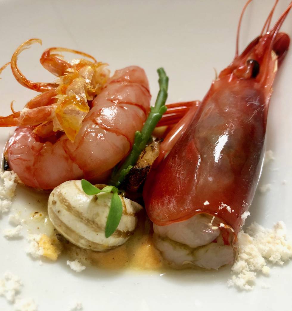 GAMBA ROJA CON CONEJO Y CARACOLES CAPEL