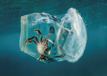 Reciclar no es suficiente
