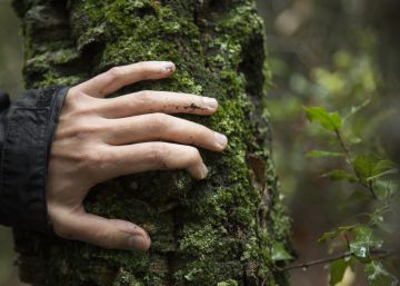 Bosques y educación, catalizadores para transformar nuestro mundo