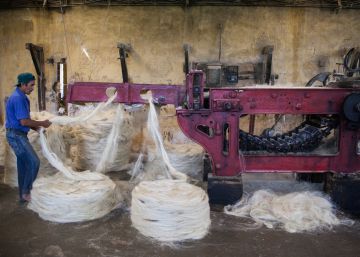 El sustituto natural del plástico que se usaba en el siglo XIX