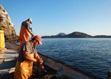 ¿Pescado de comercio justo?