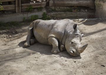 El sentido de los zoos