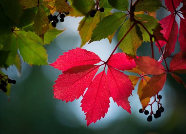 Equinoccio de otoño: el hemisferio sur abandona el verano