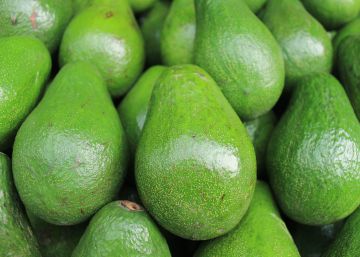 El aguacate que llega a Europa seca Chile