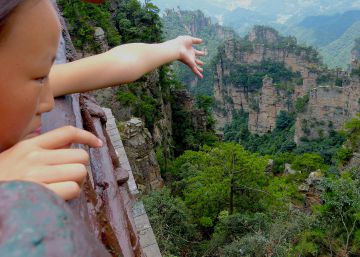 Aprender a amar nuestros bosques