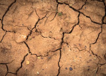 Cómo la contaminación y los gases de efecto invernadero afectan ya al Sahel