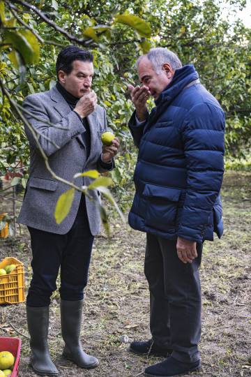 Así se construye un perfume con la bergamota, el fruto único de Calabria