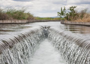 Más agua para producir comida