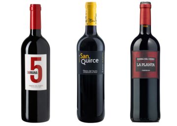 Los mejores vinos de Ribera del Duero Roble por menos de 10 euros