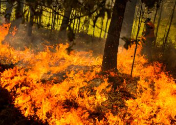 El incendio forestal de Rianxo, en imágenes