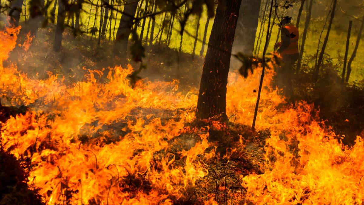 Incendio forestal en Rianxo, A Coruña.