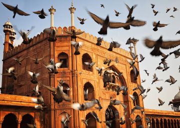 ¿Qué puedo hacer si mi vuelo a India (o a cualquier otro lugar) se ha suspendido? ¿Qué puedo hacer si mi vuelo a India (o a cualquier otro lugar) se ha suspendido?
