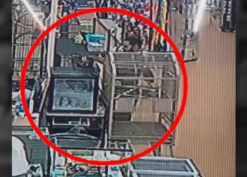 Un hombre roba una pitón metiéndosela en los pantalones