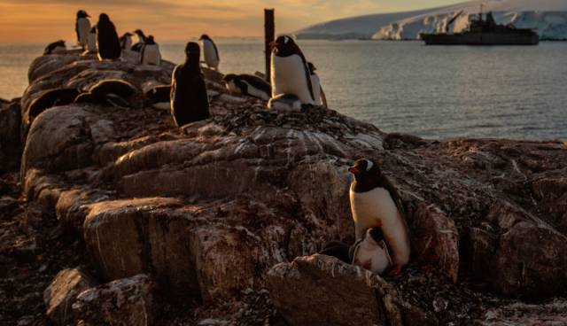 Antarctica: a trip to the heart of global warming