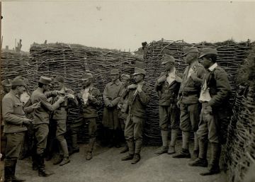 Resucitada la bacteria del cólera de un soldado de la Primera Guerra Mundial