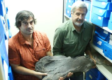 Los humanos aceleraron la extinción de los grandes mamíferos de Sudamérica