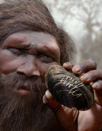 Reconstruction of & # 39; Homo erectus & # 39; with engraving made in a shell.