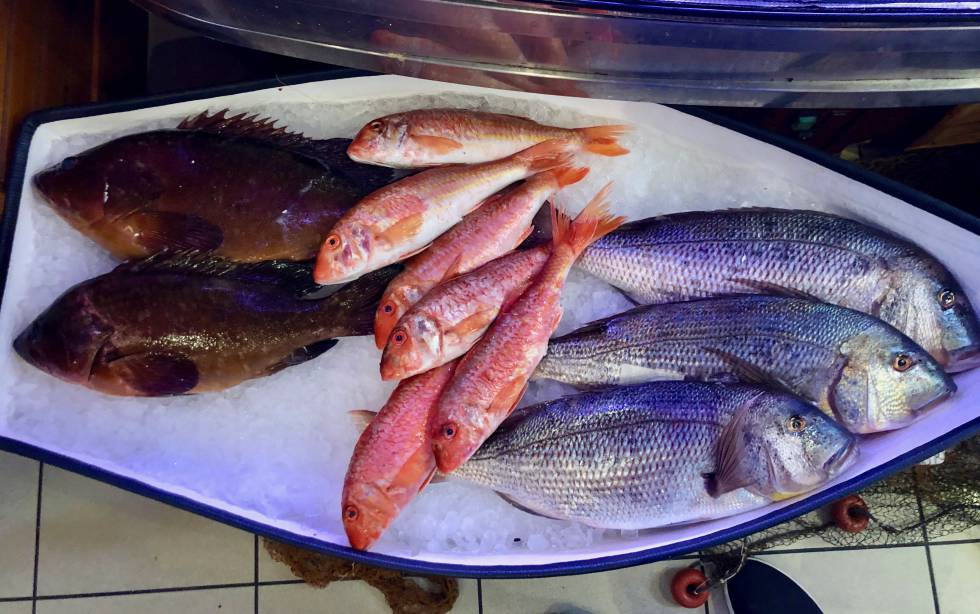 PESCADOS DEL DÍA EXPUESTOS EN LA SALA DEL RESTAURANTE VENEZUELA, UNA DE LAS MUCHAS CESTAS QUE OCUPAN SUS COMEDORES CAPEL