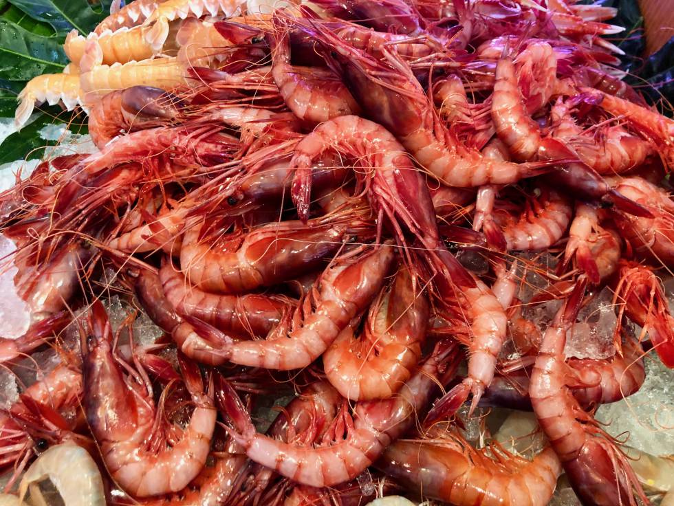 SURTIDOS APABULLANTES DE MARISCOS CAPEL