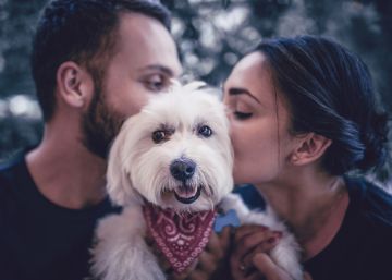 Familias interespecie: cuando el perro figura en el árbol genealógico