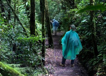 El bosque de Costa Rica salvado gracias a las galletas de los niños suecos