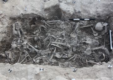 Los cruzados no dejaron rastro en Tierra Santa