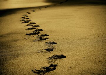 Caminar hacia el planeta deseado