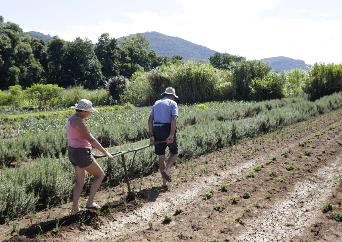 Los jubilados Iría y Jurandir de los Reyes trabajan en el campo para complementar la renta familiar.
