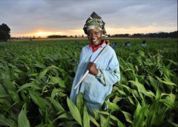 La crisis de la deuda externa amenaza de nuevo a África