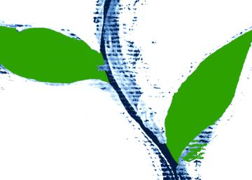 El Green New Deal y las políticas del futuro