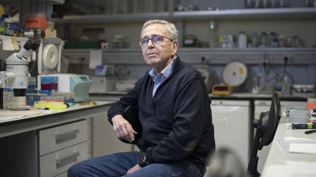 El genetista Ginés Morata, en su laboratorio, en Madrid.