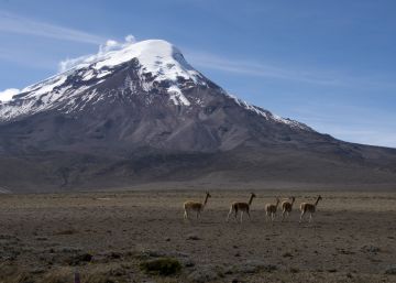 Llama al fuego