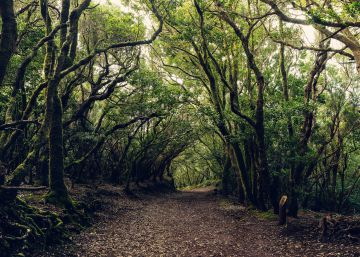 Cómo disfrutar de Canarias sin sol y sin playa
