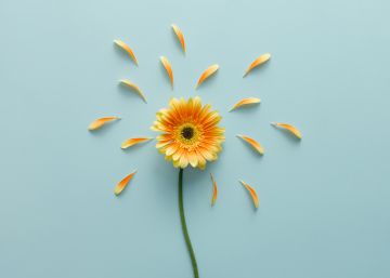 ¿Por qué la alergia puede producir depresión y el estrés, ataques de asma?