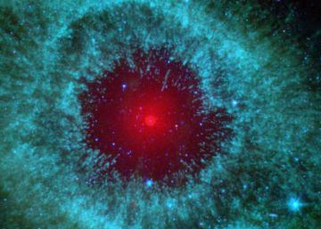 El perro de Martin Rees