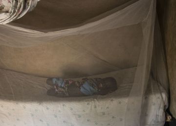 ¿Por qué la malaria está nuevamente en aumento?