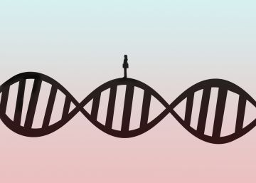 Lo que los test genéticos dicen (en realidad) de la salud y la enfermedad