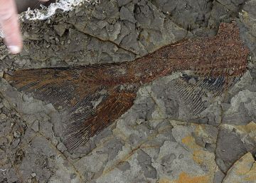 El último día de los dinosaurios