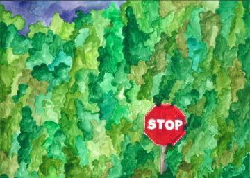 Hacia la fusión de ciudad y naturaleza