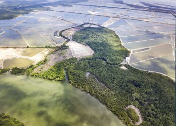 Solo veinte de los ríos más largos se libran de las barreras humanas