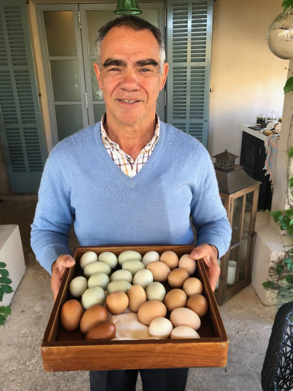 ANDREU GENESTRA PADRE CAPEL