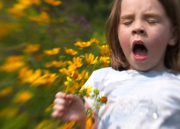 Alergias infantiles, ¿se nace con ellas o se desarrollan después?