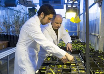 Ciencia sin trascendencia