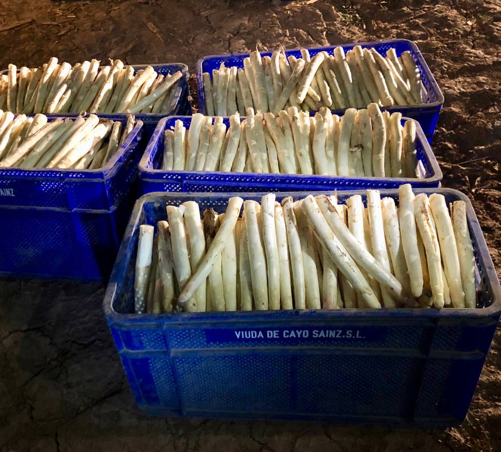 PREPARADOS PARA CARGAR EN CAMIONETAS CAPEL