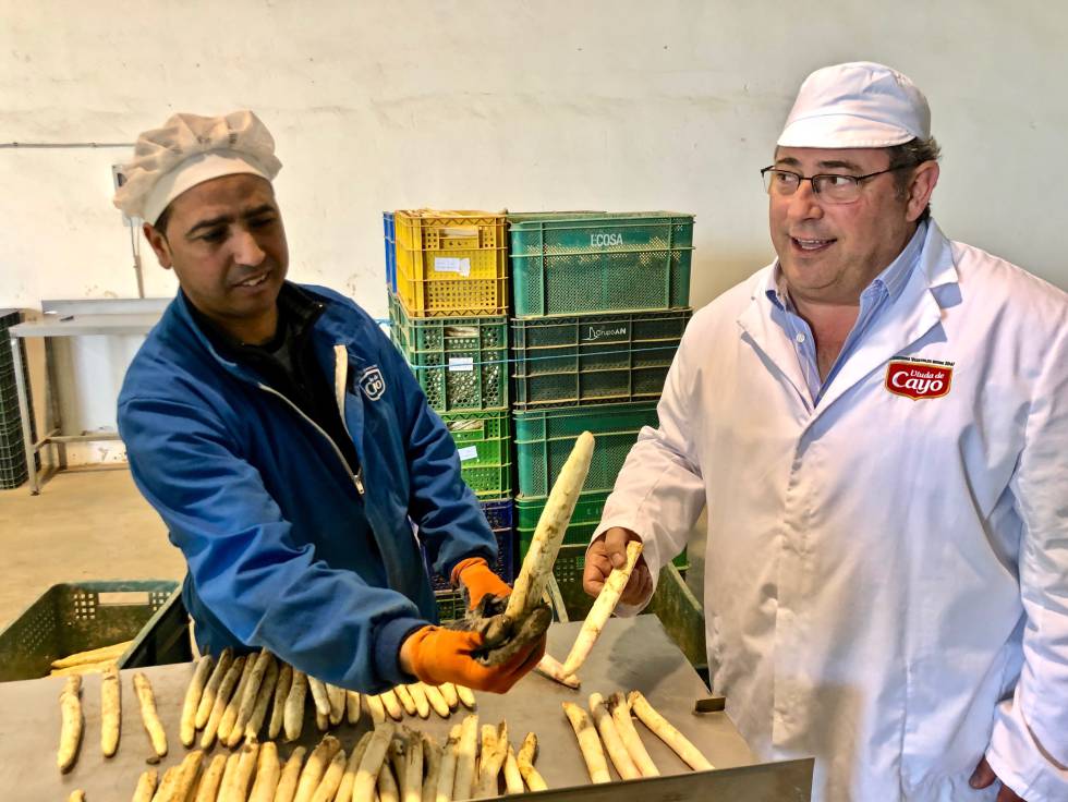CAYO MARTINEZ CON UN OPERARIO EN LA ZONA DE RECEPCIÓN Y PRIMERA CLASIFICACIÓN CAPEL