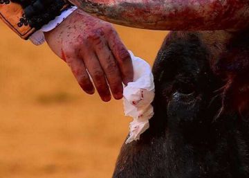 El pañuelo (polémico) de Morante y el eterno dilema: las lágrimas o el sudor