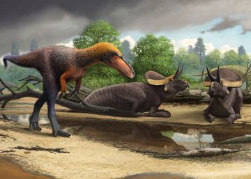 Descubierto en Nuevo México un pariente del ‘Tyrannosaurus rex’