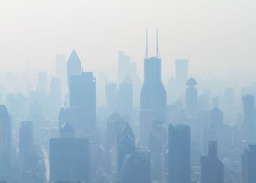 Hacia un Pacto Mundial por el Medio Ambiente