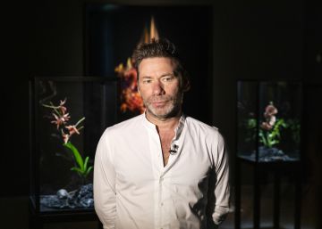 Mat Collishaw: “Nunca es tan poderosa la belleza como cuando se combina con algo cruel o espantoso”